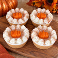 Pumpkin Pie Spice Soap Bars